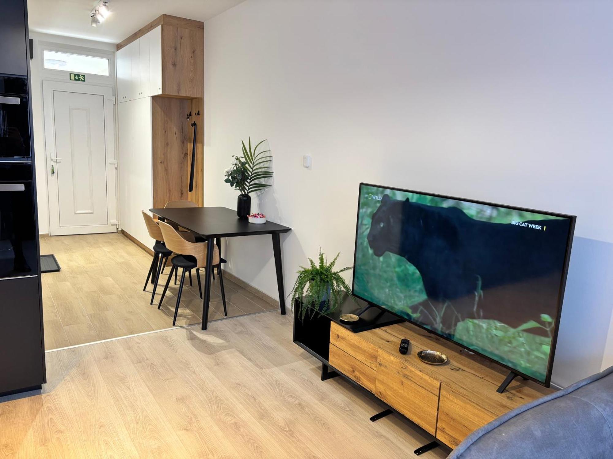 Spirit With Free Parking Apartament